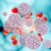 Strains of HPV were found in around 75% of participants’ skin samples and 50% of nose samples, while new strains of the virus were found in both skin and nose samples.
